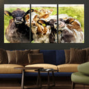 Curious Cows Farmhouse Wall Art | Ready to Hang and Framed