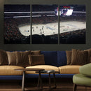 Honda Center California Anaheim Ducks Hockey Stadium Wall