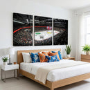 Vaudoise Lausanne Ice Hockey Arena Stadium Wall Art Canvas,