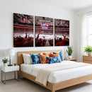 Carolina Hurricanes Ice Hockey Stadium Wall Art, Carolina