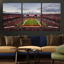 Florida Tampa Raymond James Stadium Wall Art Canvas Print -