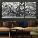 Black White Angel Oak Tree Wall Art - Timeless