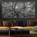 Majestic Angel Oak Tree Black and White Canvas Print – Multi