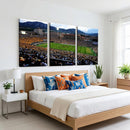 Colorado Buffaloes Canvas Print - Boulder Folsom Field