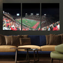 Houston Cougars Football Team Print - Houston TDECU Stadium