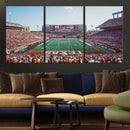 Framed Texas Memorial Stadium Canvas, University of Texas