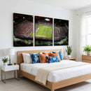 Florida Atlantic University Owls Football Team Print - Boca