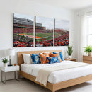 University of Illinois Fighting Illini Football Team Print -