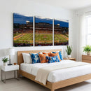 University of Illinois Fighting Illini Football Team Print -