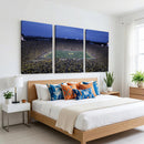 University of Michigan Wolverines Football Team Print - Ann
