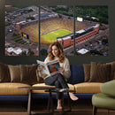 University of Michigan Wolverines Football Team Print - Ann