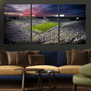 Penn State Nittany Lions Football Team Print - University