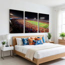 Iowa State University Cyclones Canvas Print, Football Team
