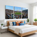 Michigan State Spartans Football Team Art Print - East