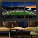 Michigan State Spartans Football Team Print - East Lansing