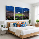 Michigan State Spartans Football Team Print - East Lansing