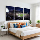 Michigan State Spartans Canvas, Framed Football Team Print -