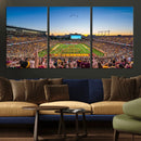 University of Minnesota Golden Gophers Art Print, Football by MyGreatCanvas | Canvas Wall Art Prints | Photo Prints & Wall Decor