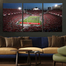 Ohio State University Buckeyes Football Team Print -