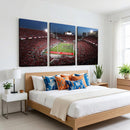Ohio State University Buckeyes Football Team Print -