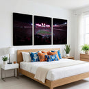 Ohio State University Buckeyes Football Team Print -