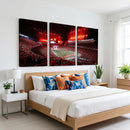 Ohio State University Buckeyes Football Team Print -