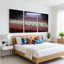 Rutgers University Scarlet Knights Football Team Print -