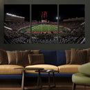 Framed Texas Tech Red Raiders Stadium Canvas, Texas Tech Red