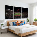 Framed Texas Tech Red Raiders Stadium Canvas, Texas Tech Red