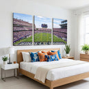 TCU Horned Frogs Football Team Print - Fort Worth Amon G.