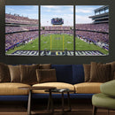 TCU Horned Frogs Football Team Print - Fort Worth Amon G.