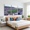 The Texas Christian University TCU Horned Frogs Football