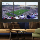 The Texas Christian University TCU Horned Frogs Football