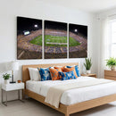 The University of Connecticut UCONN Huskies Football Team