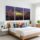 The University of Southern California USC Trojans Football