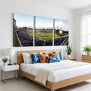The Duke University Blue Devils Football Team Print - Durham