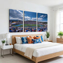 Air Force Falcons Football Team Print - Colorado Springs