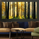 Sunlit Forest Wall Art Canvas Print – Large Framed Woodland