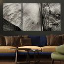 Elephant Wall Art Canvas Print