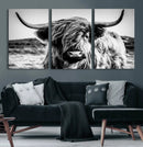 Black and White Scottish Cow Canvas Wall Art Highland Cattle