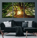 Majestic Ancient Tree Wall Art, NatureCanvas Print, Woodland by MyGreatCanvas | Canvas Wall Art Prints | Photo Prints & Wall Decor