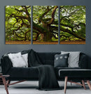 Angel Oak Tree Wall Art Canvas Print | Forest Tree Nature