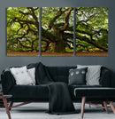 Angel Oak Tree Wall Art Canvas Print | Forest Tree Nature