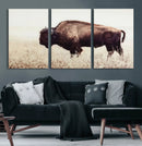 Bison in Field Wall Art Canvas Print For Farmhouse Barn