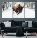 Bison Wall Art Canvas Print For Farmhouse, Animal Canvas