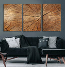 Tree Ring Canvas Art, Rustic Wood Grain Wall Art, Tree Slice