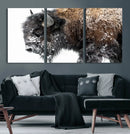 American Bison Wall Art Print – Majestic Buffalo Canvas