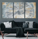 Radiant Abstract Wood Rings Canvas Art – Modern Triptych