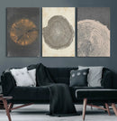 Boho Tree Ring Wall Art, Modern Minimalist Wood Grain