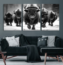 American Bison Art | Buffalo Herd Wall Art Canvas Print, BW